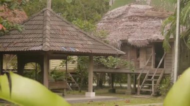 Bungalovların Önünde Rüzgarda Yeşil Yapraklar