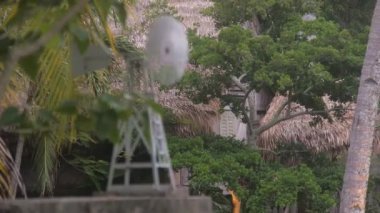 Flora Çevreleyen Rüzgar Aracı Bungalovlar Yakınında 