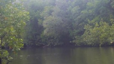 Su Kaynağındaki Teknelere İlerleme