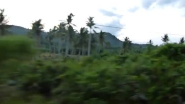  Passing By Flora Near Mountains - Slide - Left To Right