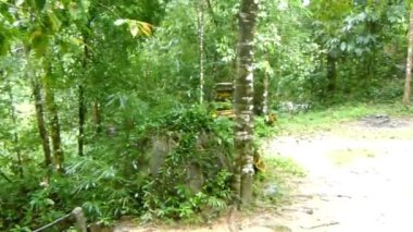 Etrafı Flora ile çevrili Evin yakınındaki Ahşap 