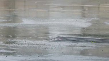 Yerdeki Yağmur Damlaları - Pan - Sağdan Sola.