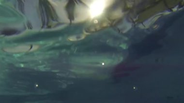 Su geçirmez kamerayla yüzme havuzuna bakan güneşe doğru kayarak aşağı doğru kayıyor.