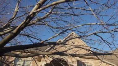 Evin Önündeki Kuru Ağaç Dalları