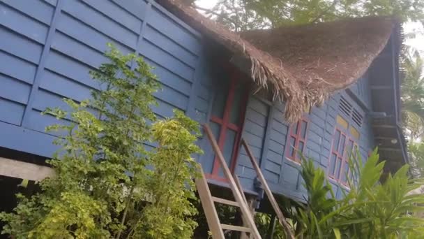 Casa Azul Rodeada Flora Detrás Las Hojas — Vídeos de Stock