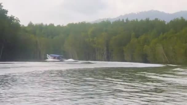 Barca Andando Veloce Sulla Sorgente Acqua Circondato Alberi — Video Stock