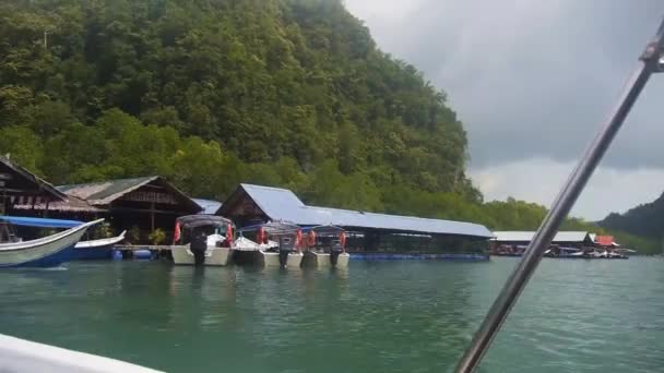 Port Près Flora Droite Gauche — Video