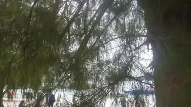 木の葉の後ろからのビーチビュー — ストック動画