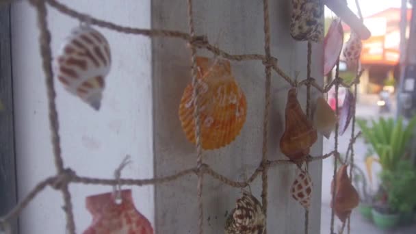 Shells Hung Net Decoration — Stock Video
