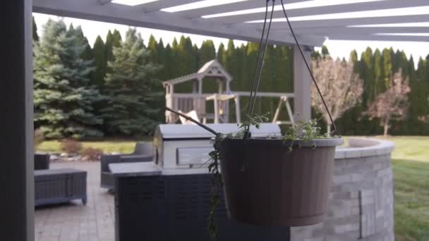 Flower Pot Hanging House Garden — Stock Video