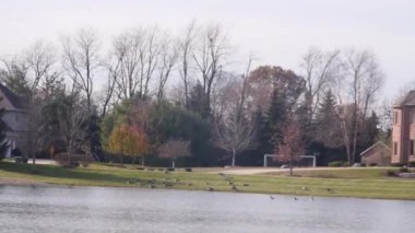 Amerikan Bayrağı ve Su Kaynağının Yakınındaki Binanın Çevresinde Ağaçlar