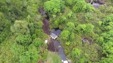 Orman ağaçları ve yukarıdan gelen nehir soldan sağa doğru kıvrılır sonra hafifçe aşağı eğilip yukarı doğru çıkar.