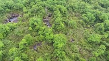 Orman ağaçları ve nehrin yukarısından sola doğru kıvrıl, sonra aşağıya doğru eğil.