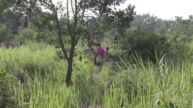 Flora 'nın yakınındaki Tarlada Yürüyen İnsanlar 