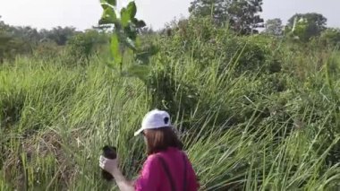Flora 'da Bitkilerle Yürüyen İnsanlar