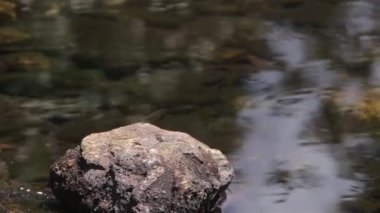 Suyun Önündeki Kaya Gölette Dalgalanır 