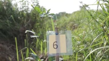 Flora Alanında İmzala 