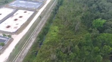 Ormandaki Ağaçlar Yukarıdaki Sera 'nın yanında İleriye Kayıyor