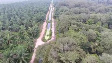 Flora tarafından çevrelenmiş su kaynağı