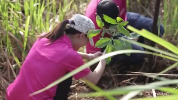 Människor Enhetlig Plantering Träd Fältet Flora — Stockvideo