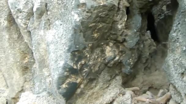 Rock Moutains Cerca Fuente Agua Del Mar — Vídeo de stock