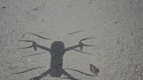 Ombre Drone Sur Sol — Video