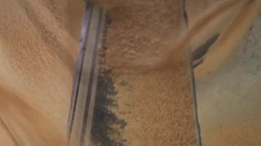 Hareket halindeki Üretim Hattı 'ndaki 3 yerden portakal gübresi düşüyor