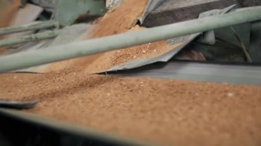  Yürüyen bir koşu bandındaki 2 yerden portakal gübresi düşüyor 