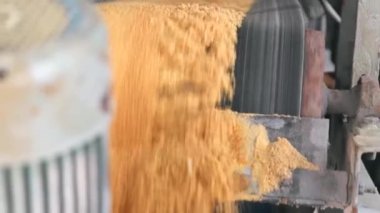 Koşu bandından düşen turuncu gübre 