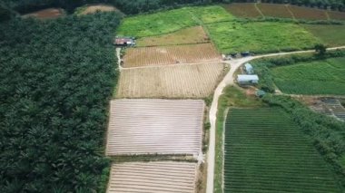 Tarlaları ekilmemiş tarlalar