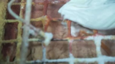 Sarı Şebekenin Arkasındaki Karıştırma Makinesine Beyaz Gübre Dökülüyor