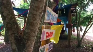 Tahtalar Bir Ağaçta Asılı - Kaydırıcı Vuruşu