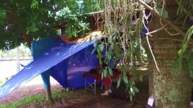 Adam Mavi Çadır Altındaki Bir Başka Adama Masaj Yapıyor - Kaydırıcı Vuruşu - Geriye.