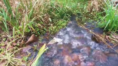 Su Küçük Nehirden Geçiyor - Statik