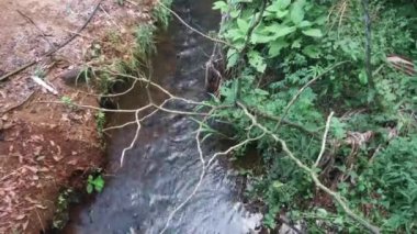 Bir dereden geçen su.