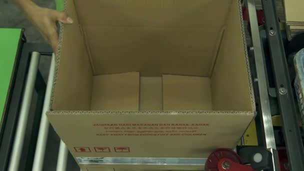 Flaps Caja Cartón Flexión Persona — Vídeo de stock