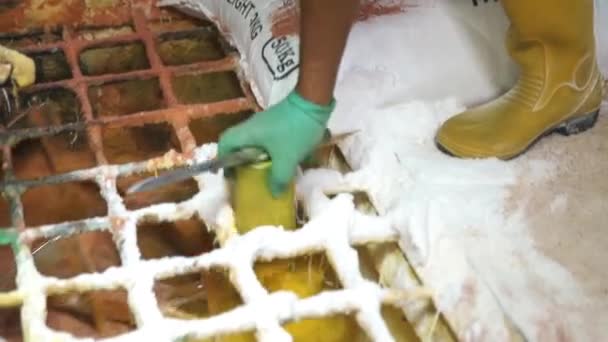 Amarelo Cru Sendo Derramado Uma Máquina Mistura Com Fertilizantes — Vídeo de Stock