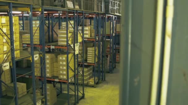 Regale Einer Fabrik Mit Kleinem Kartonboxer — Stockvideo