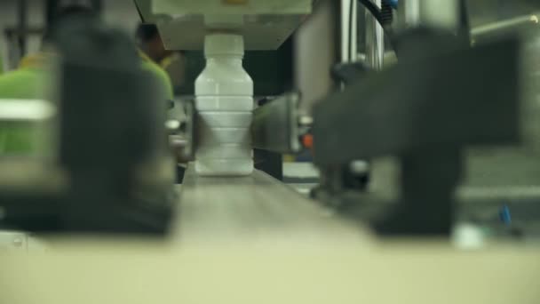 Witte Flessen Rolling Thrugh Een Loopband Een Fabriek — Stockvideo