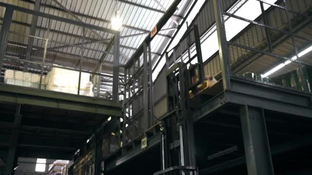 Arbeiter Platziert Eine Box Auf Einem Gabelstapler Der Die Etage — Stockvideo