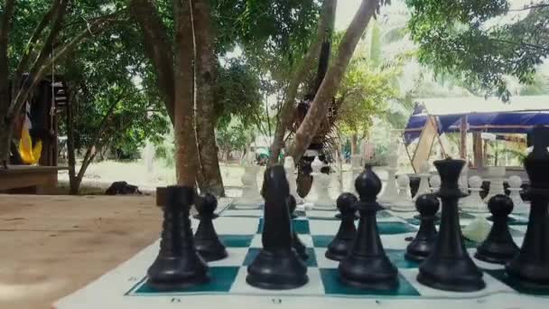 木の近くのチェステーブル — ストック動画