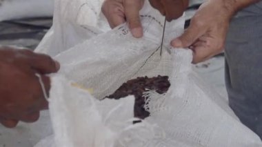 Depoda koca bir paket kakao fasulyesi açan bir adam.