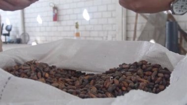 Bir adam depoda koca bir paket kakao fasulyesi açıyor.