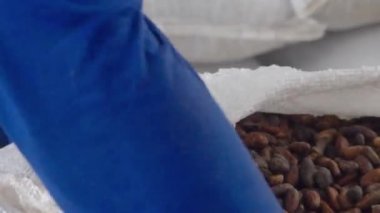 Bir Adamın Kapanışı Depoda Büyük Bir Kakao Fasulyesi Çantası Açtı