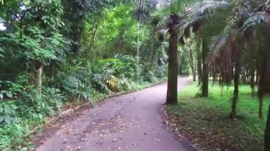 Botanik Bahçesinin Yolu 'ndan Dolly