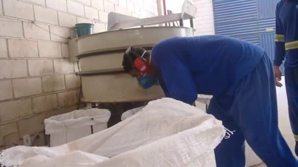 Guy Derramando Limpos Grãos Cacau Máquina Grande Recipiente Branco — Vídeo de Stock