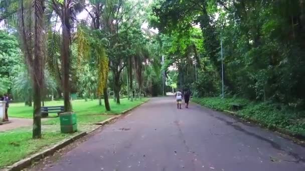 People Walking Botanical Garden — Stock Video