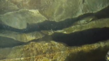 Su bir kayanın etrafında dalgalanır