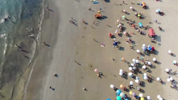 ビーチシティの海岸にある混色傘と人々 Top View — ストック動画