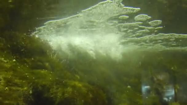 Bulles Filtre Eau Aquarium — Video
